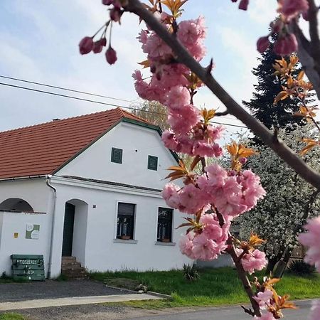 Fuszeres Porta Βίλα Mihalyfa Εξωτερικό φωτογραφία
