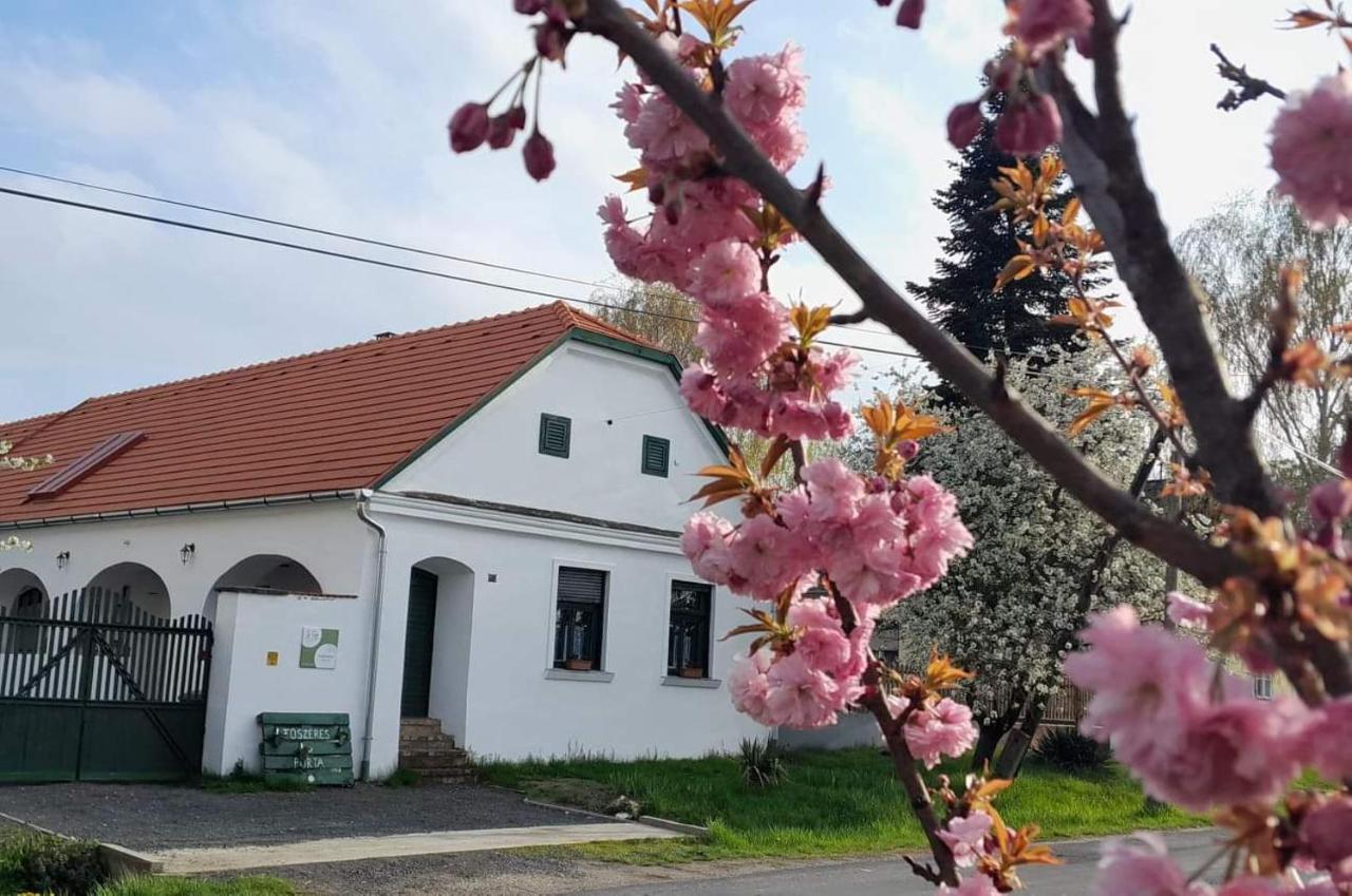 Fuszeres Porta Βίλα Mihalyfa Εξωτερικό φωτογραφία
